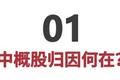 中概股回归潮起，资本市场拥抱新经济正当时