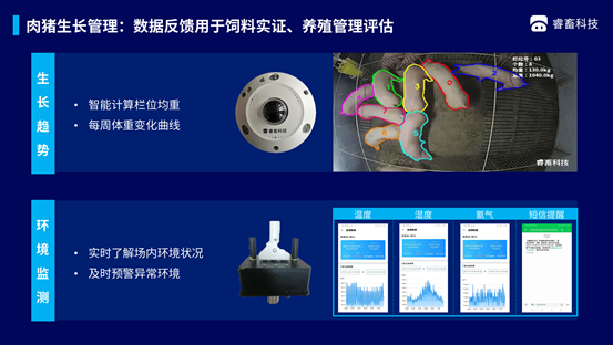 36氪首发｜「睿畜科技」已完成A+轮融资，将深入畜牧业的供应链金融领域