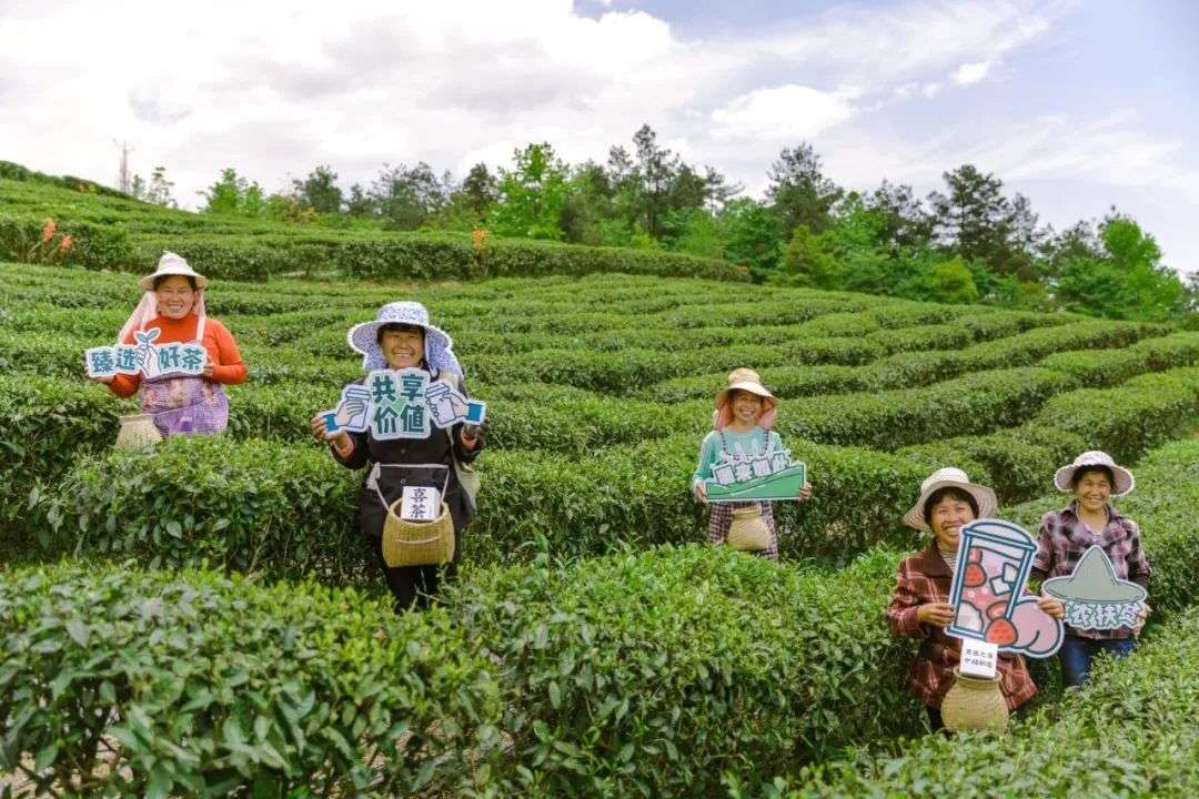 解锁喜茶的“有机”秘密