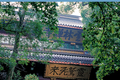 少林寺武僧玩抖音，灵隐寺小编KPI随缘……“佛系”新媒体，究竟什么样？
