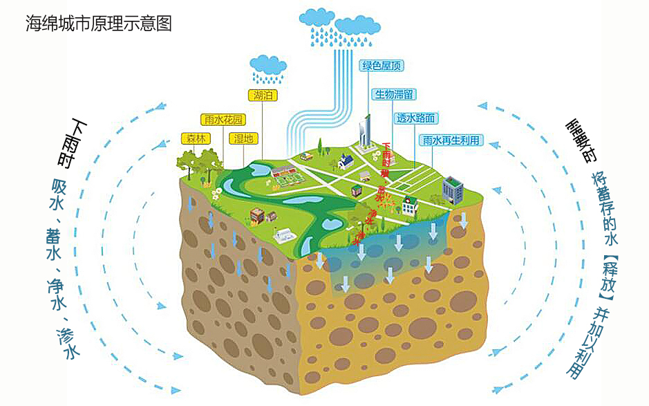 同样暴雨，4年之后武汉缘何没有“看海”？