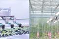 较传统栽培技术产量提升近百倍,「中科三安SANANBIO」为未来农业打造无人化植物工厂