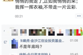 “打手”王慧文
