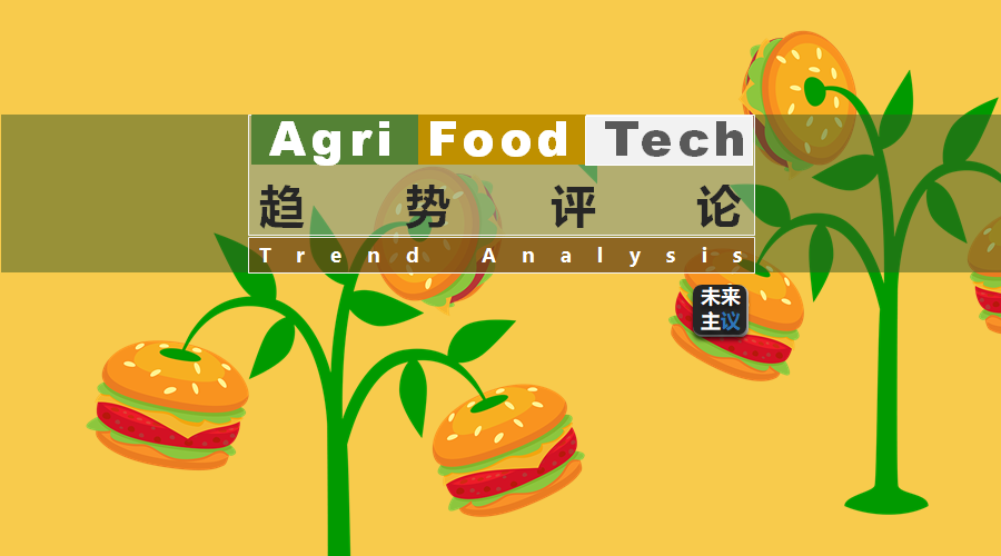 植物肉北美销量激增，中国市场潜力更大？先思考这几个问题