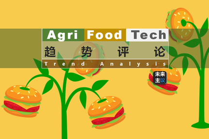 植物肉北美销量激增，中国市场潜力更大？先思考这几个问题