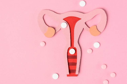 600万颗卵子想要一个平等 | 深氪lite