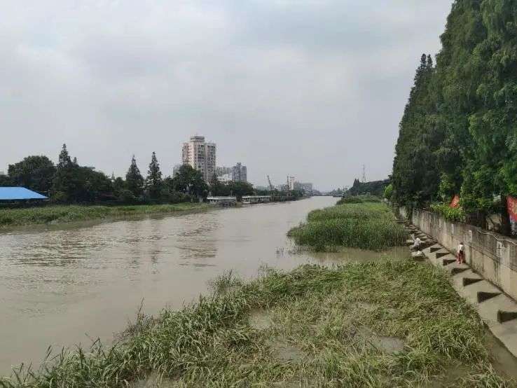 市中心那些被遗忘的板块，值不值得等待