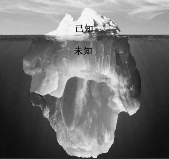 认知的四大层次