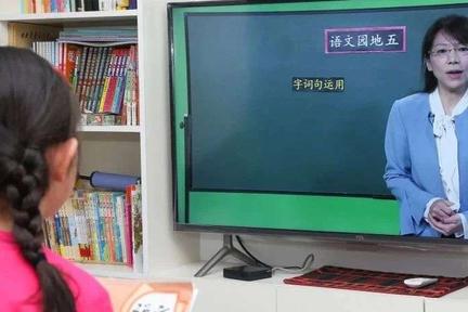 陪舞卖课程 在线教育下沉“强龙”斗法“地头蛇”