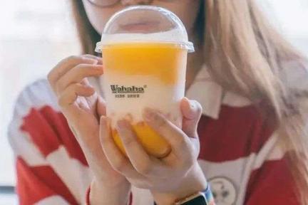 娃哈哈在广州开了第一家奶茶店，有喜茶奈雪好喝吗？