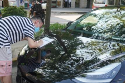 武汉拼多多用户被特斯拉拒交车后，昨日上海用户成功提车