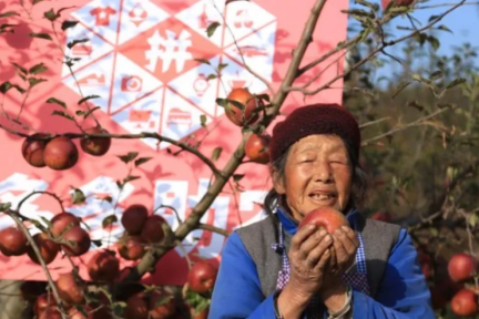 你看到的拼多多数据“巨变”，是补贴策略调整的结果