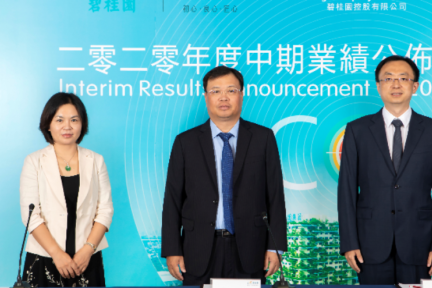 碧桂园披露中期业绩：上半年净利润219.3亿，现金余额2055.2亿