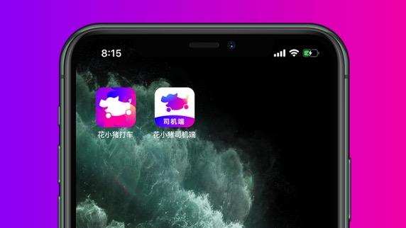 冲刺IPO前，滴滴的假想敌是一只猪