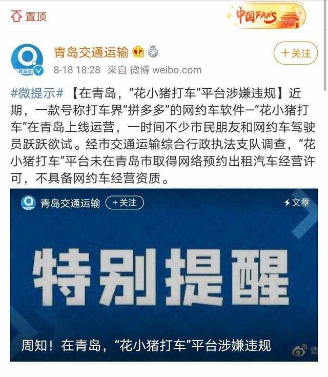 冲刺IPO前，滴滴的假想敌是一只猪