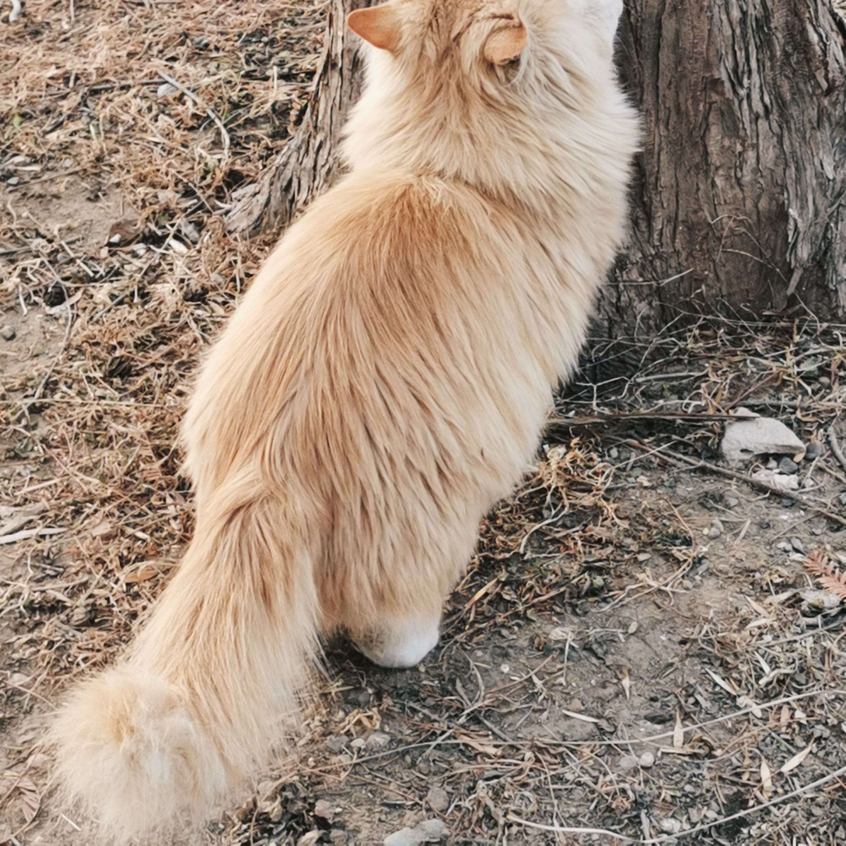 被冰冻的 新东方们 倒闭 跑路 换路 氪金 36氪