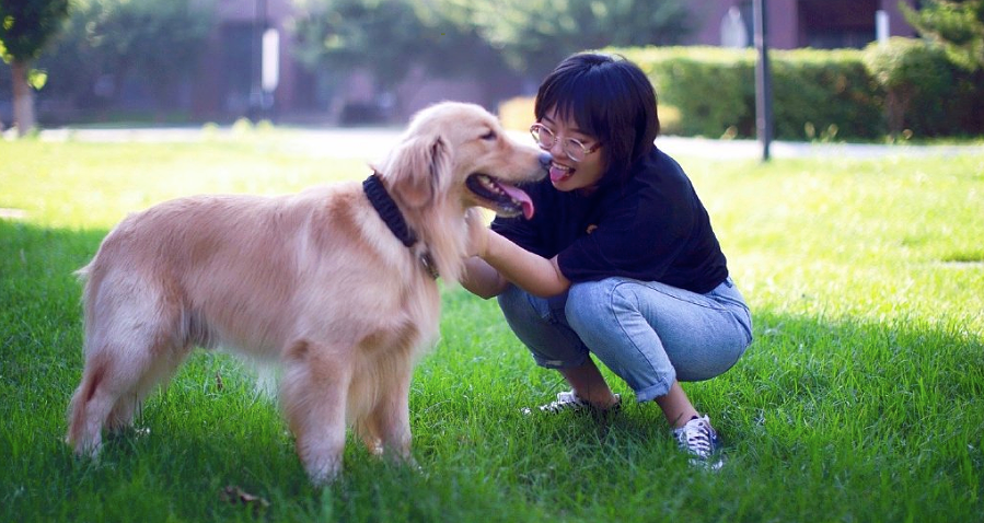观众对男女演员的评判是大型双标现场！当女人们开口讲段子（组图） - 20