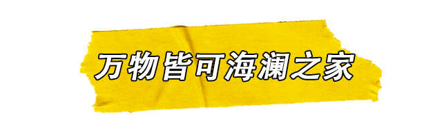 海澜之家学派是如何入侵整个娱乐行业的？