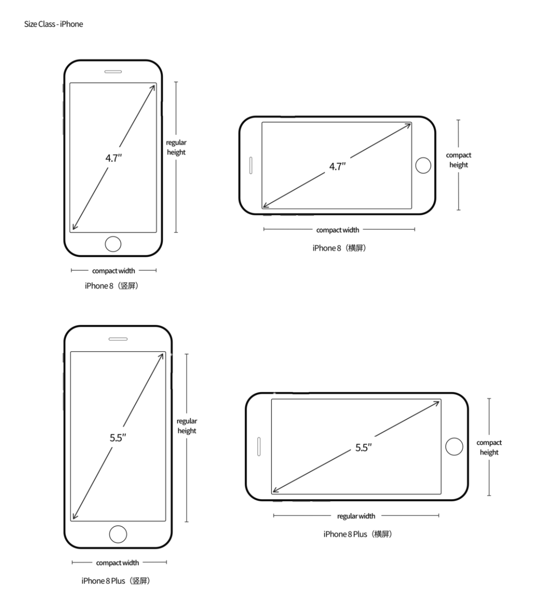 从第一代 iPhone 屏幕开始细数，我推测出未来 iPhone 的发展方向