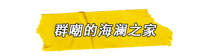 海澜之家学派是如何入侵整个娱乐行业的？