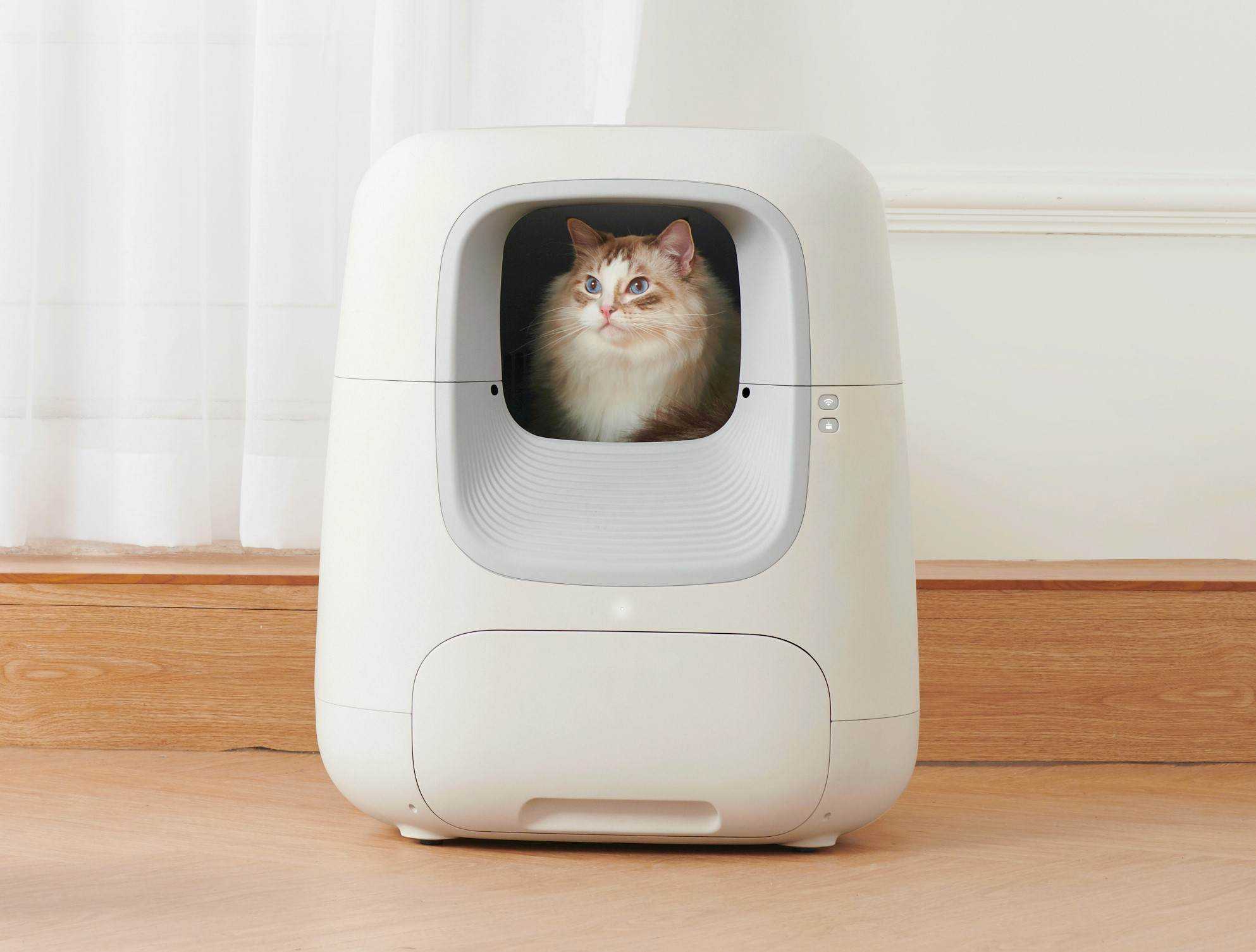 智能小家电走进宠物生活,「Unipal有陪」搭建猫咪智能生活零售服务平台