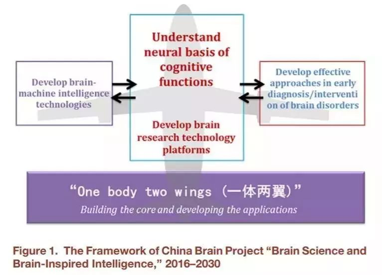 开头颅插芯片？让马斯克疯狂的脑机接口究竟是什么？