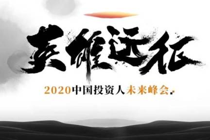 飞跃「天鹅湖」投资人携手创业者的一场硬战 | 2020中国投资人未来峰会