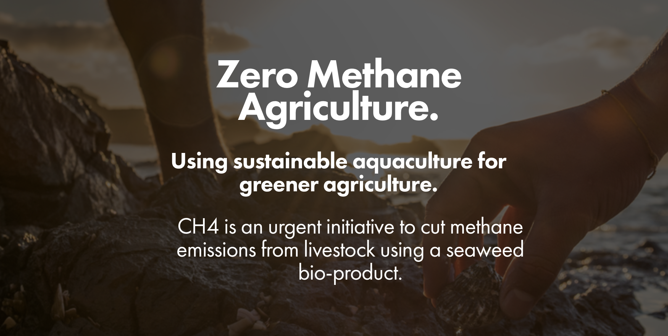 如何使畜牧业更环保？改善畜牧业气体排放的「CH4 Global」获 300 万美元融…
