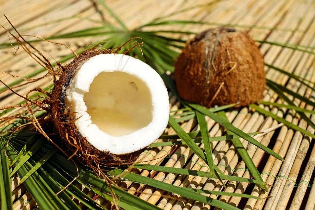 你吃的椰子里为什么找不到椰汁和椰果