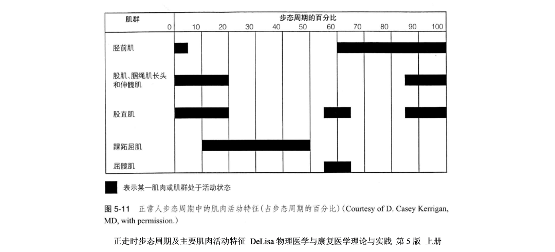 信条 除了时间线 这些信息点你都看懂了吗 591资讯