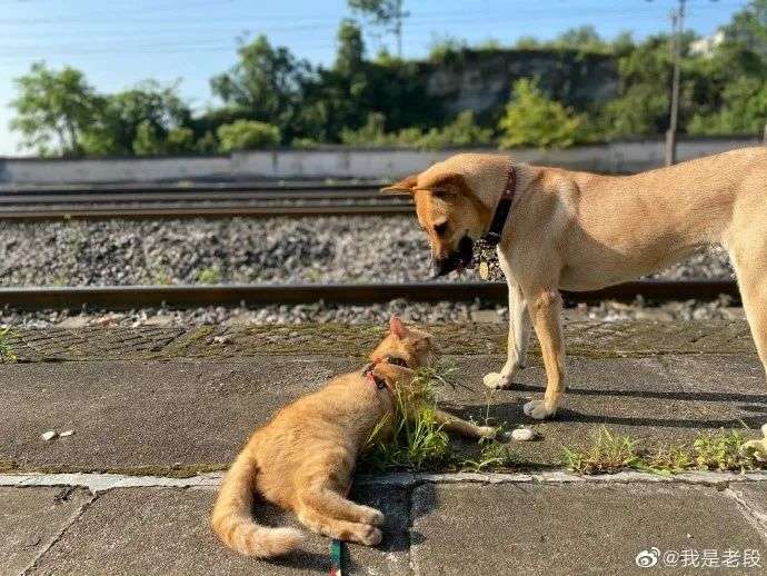 v2_b7f6c2c146274c1fb7e6ff47cb5e173b_img_000