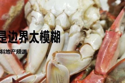 万科物业的感觉被侮辱、负气与硬杠