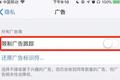 手机变成“窃听器”... 苹果iOS14升级，要动这块蛋糕