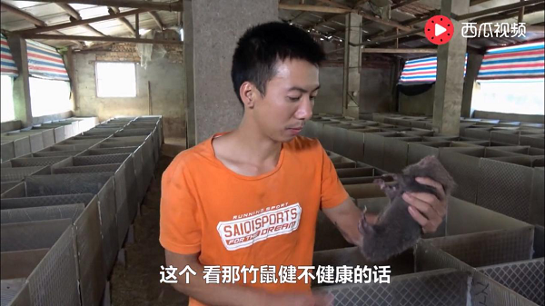“挖人大战”后，西瓜视频要再造N个“巫师财经”？