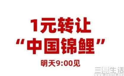 “1元转让锦鲤”破产，营销号“转发抽奖”谢幕