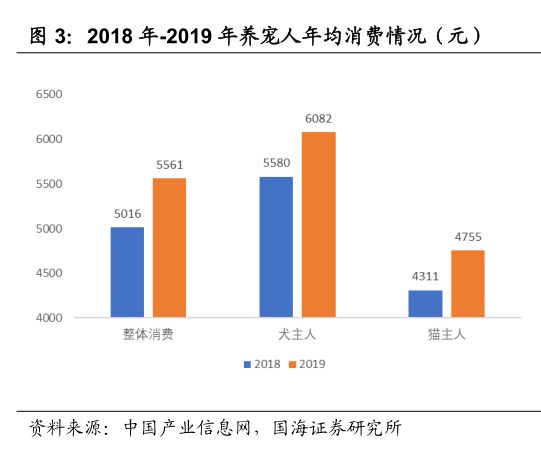 我家的猫率先迎来消费升级