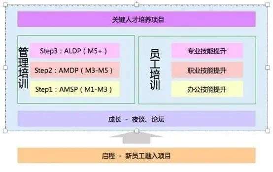 职场上如何成长？来看看阿里的人才培养体系丨未来组织