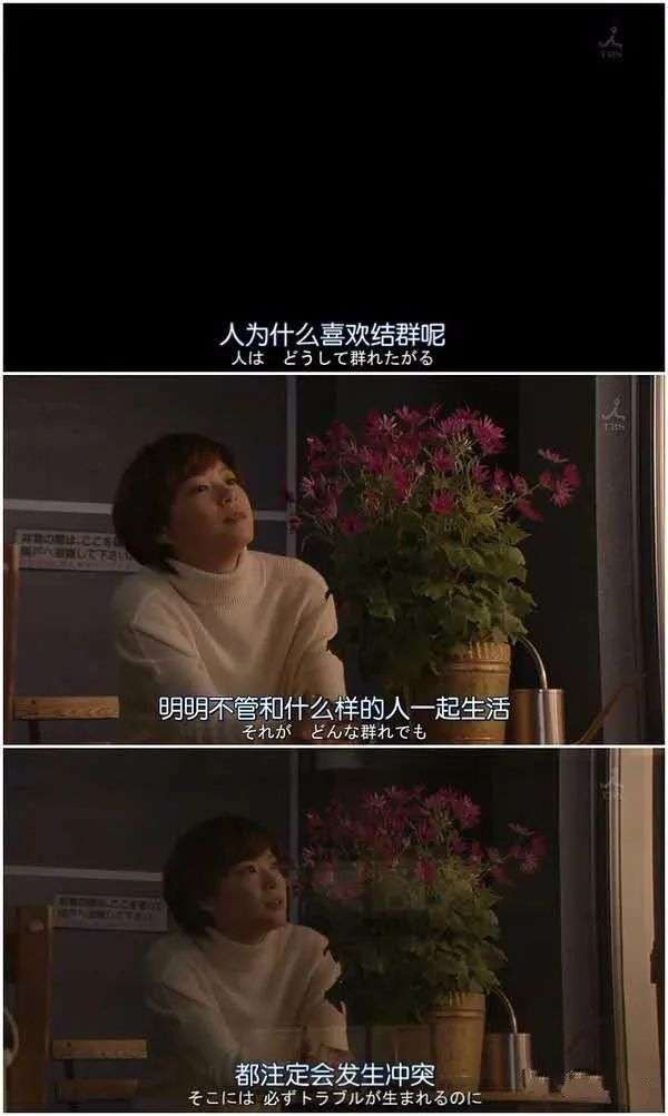 中国7700万独居青年，哪座城市最多？