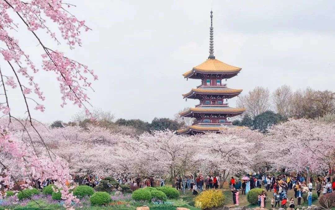 “黄金周”是在线旅游市场的“终极一役”