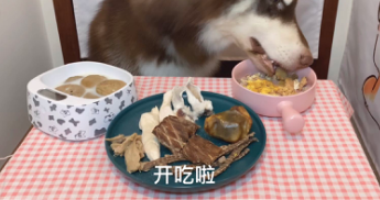 《“大胃王”转做宠物吃播短视频：继续吃播带货？》