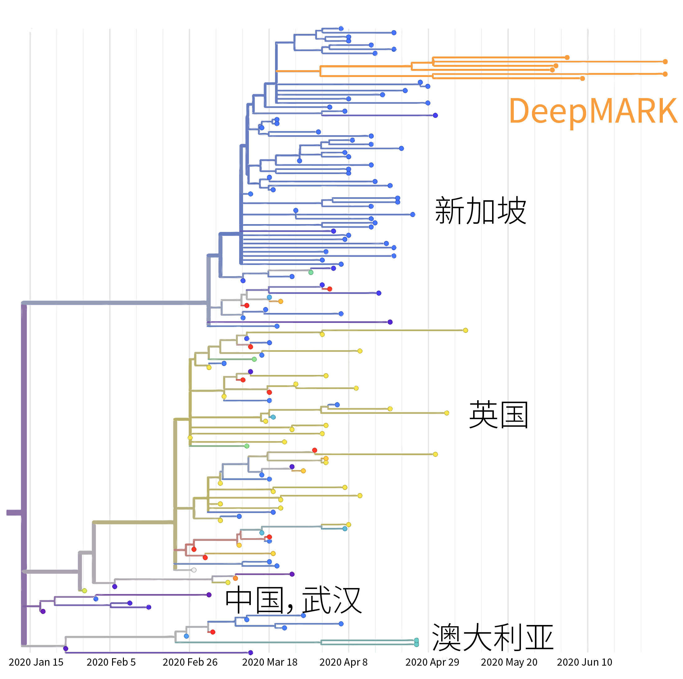 帮助追踪新冠感染源，「路胜生物」发布全球首个新冠病毒亚基因组RNA检测试剂盒