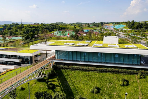 链接世界！以“4个协同”高标准打造两江协同创新区