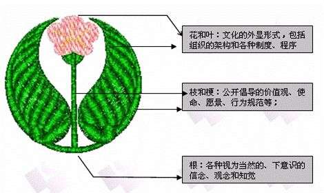 肖知兴：洗脑洗不出企业文化丨未来组织