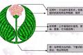 肖知兴：洗脑洗不出企业文化丨未来组织