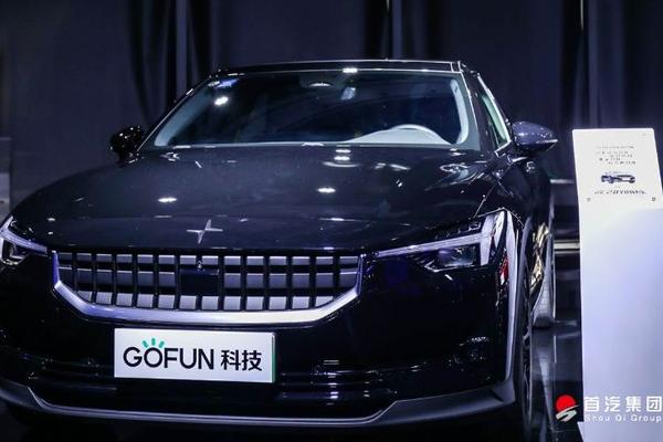 36氪专访 | GoFun CEO谭奕：获数亿B轮融资，明年计划30万辆车上平台-36氪