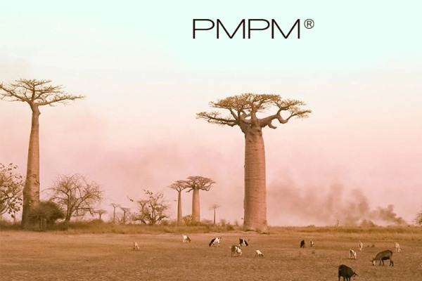 新国货护肤品牌「PMPM」获数千万元pre-A及pre-A+轮融资，黑蚁资本、话梅领投