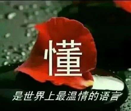 为何程序员工资高？