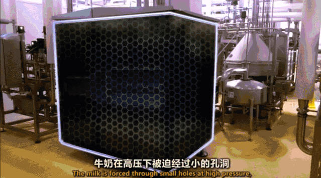 曾被当猪饲料的脱脂奶，凭什么比全脂奶卖得贵？