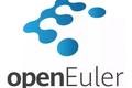 关于开源这件事，openEuler到底做得怎么样了？