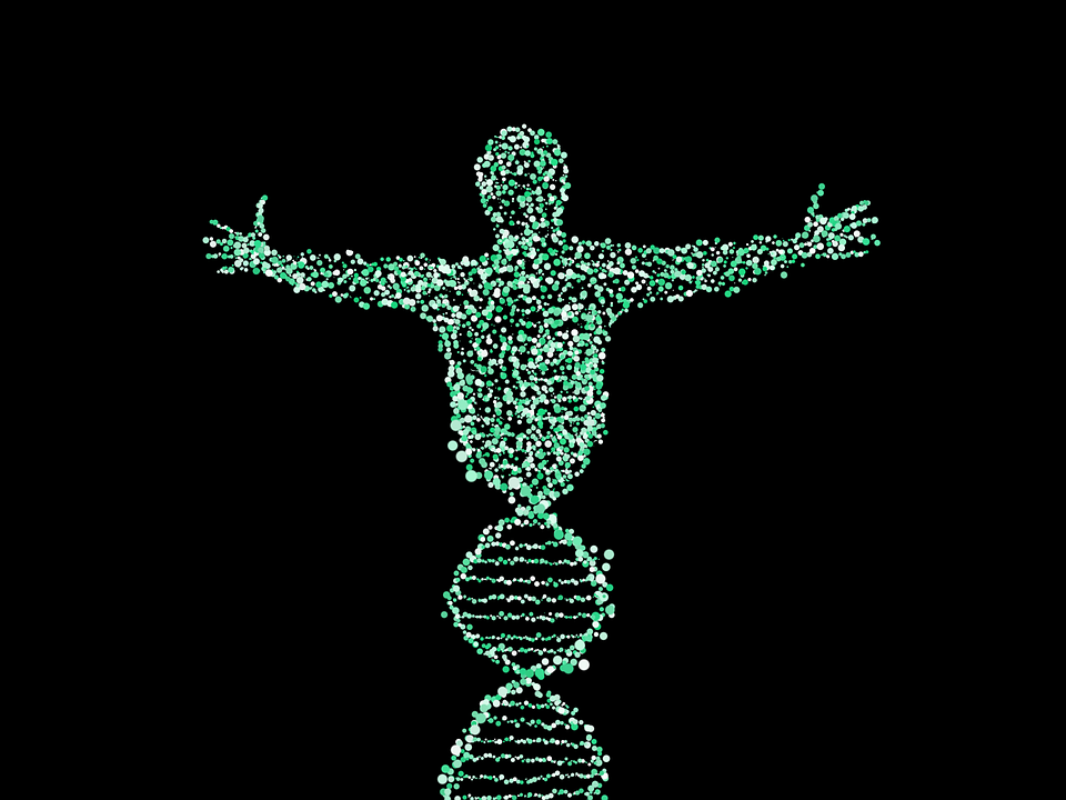 聚焦核酸干扰(RNAi)药物，「圣诺制药」完成7.3亿元人民币D轮融资